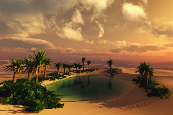 Papier peint  Désert tropical avec palmiers et eau