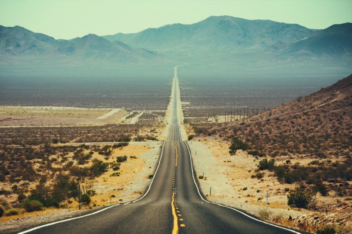 Papier peint  Route asphaltée parmi la végétation désertique