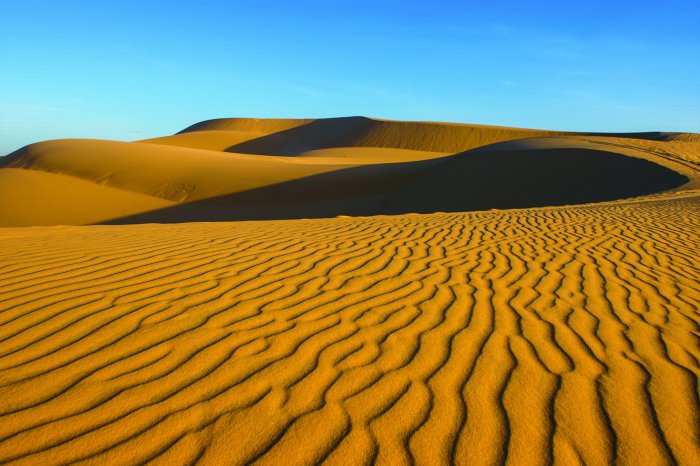Papier peint  Dunes dans un désert sablonneux