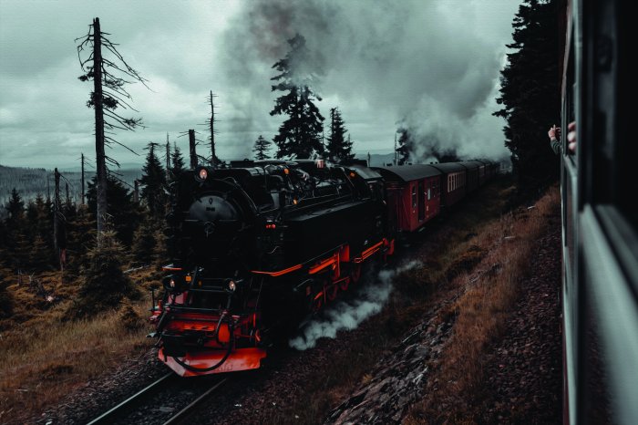 Papier peint  Locomotive sur les rails au milieu de la forêt