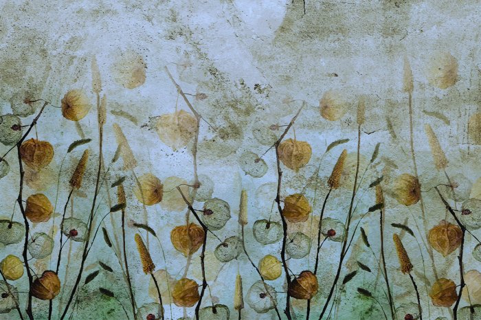 Papier peint  Prairie sauvage avec végétation d'automne