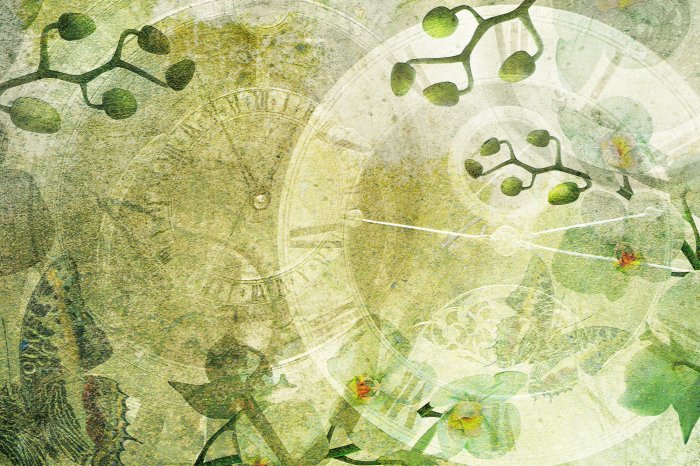 Papier peint  Horloges rétro parmi les fleurs d'orchidée