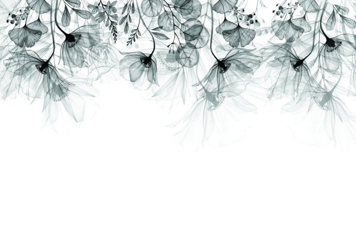 Papier peint  Fleurs grises délicates suspendues