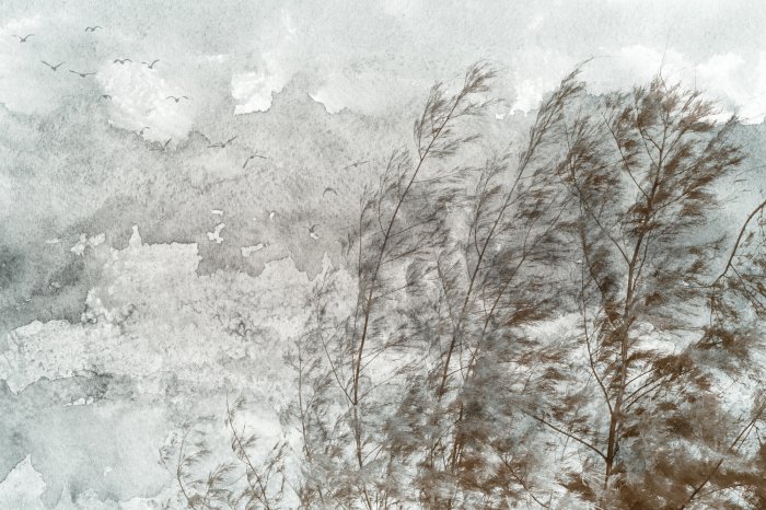 Papier peint  Arbres à feuilles caduques dans le vent parmi les oiseaux