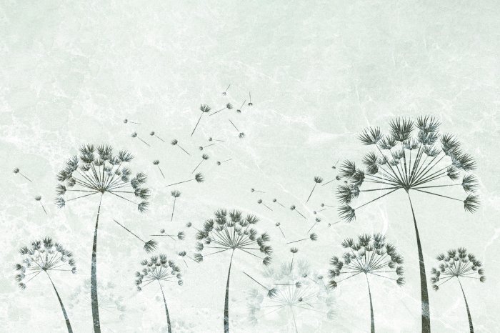 Papier peint  Pissenlits sur béton gris