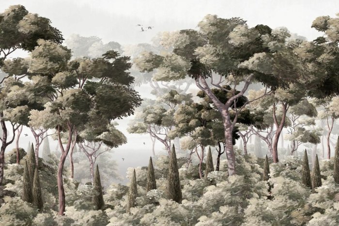 Papier peint  Forêt avec végétation luxuriante et arbustes