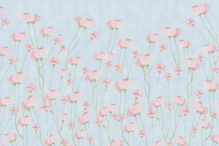 Papier peint  Coquelicots délicats sur fond bleu