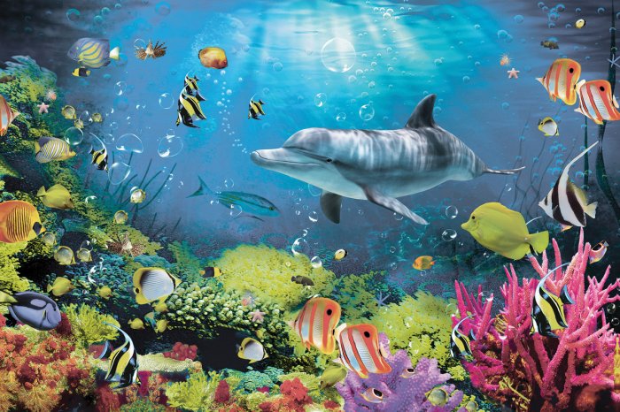 Papier peint  Monde sous-marin du récif avec des poissons colorés