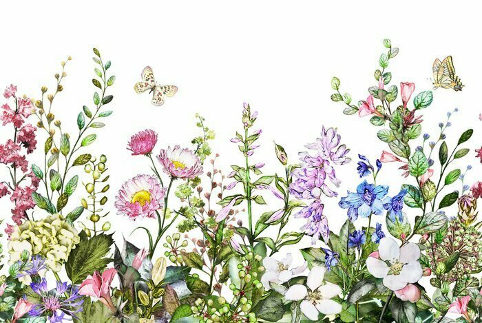 Papier peint  Seamless Colorful flower floral illustrations for fabric designing.