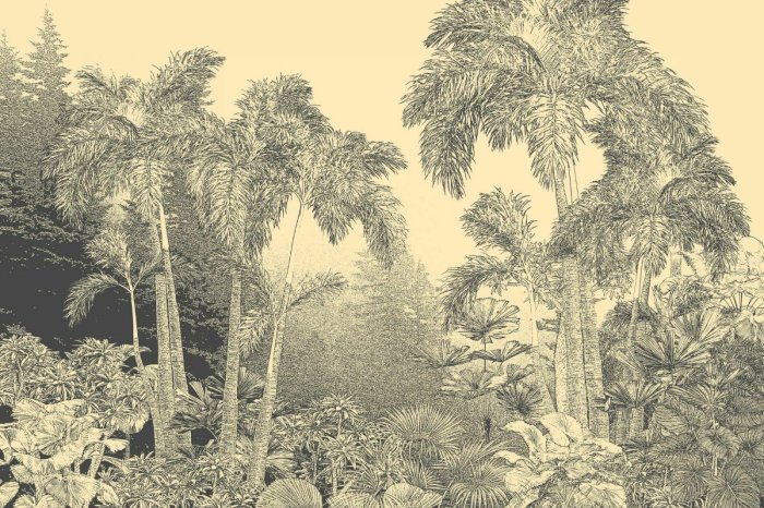 Papier peint  Schizzo della botanica rigogliosa della foresta in seppia