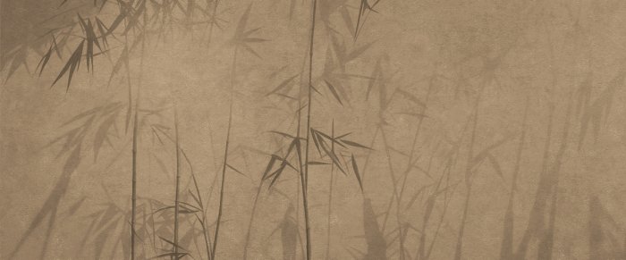 Papier peint  Pousses de bambou sur un mur brun