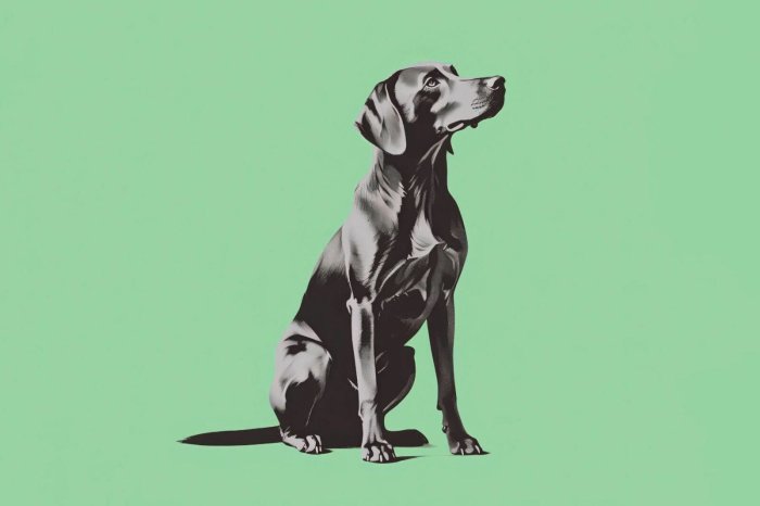 Papier peint  Chien noir illustration animal sur fond vert
