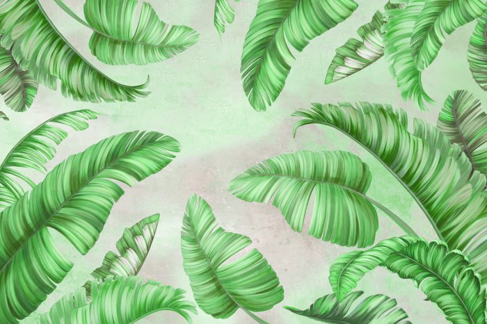 Papier peint  Feuilles de palmier vertes sur béton