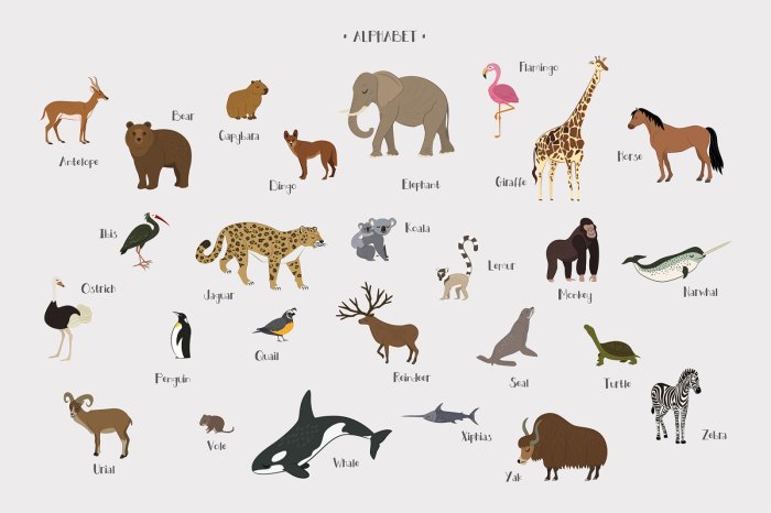 Papier peint  Lettres de l’alphabet et animaux motif pour enfants