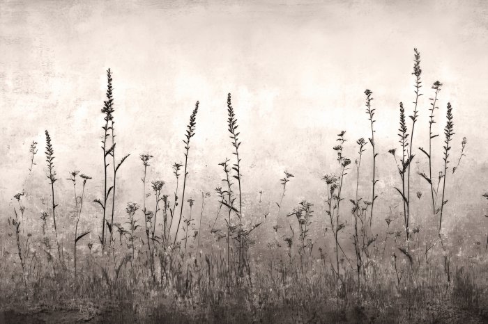 Papier peint  Prairie sauvage sur un mur en béton