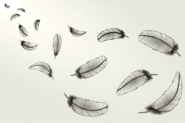 Papier peint  Plumes noires peintes sur fond clair