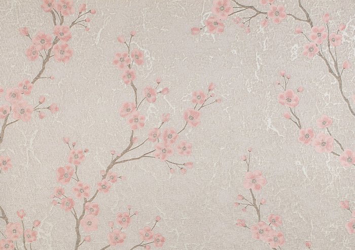 Papier peint  Délicates fleurs de cerisier roses sur des branches