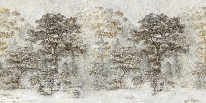 Papier peint  Paysage forestier avec des arbres sur la pierre