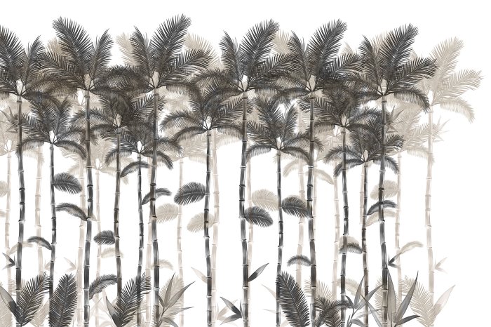 Papier peint  Arbres de palmier dans la jungle tropicale