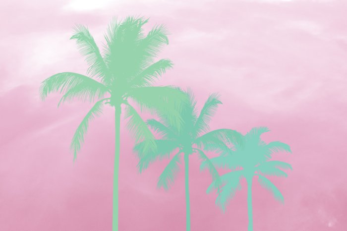 Papier peint  Palmiers bleus sur fond rose