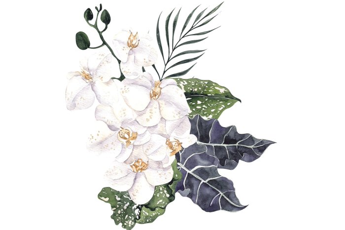 Papier peint  Orchidées blanches parmi les feuilles