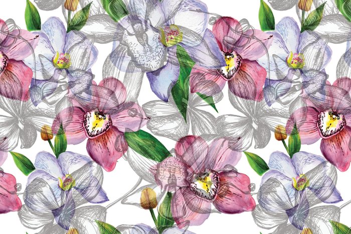 Papier peint  Orchidées dessinées colorées