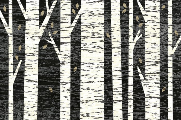 Papier peint  Forêt de bouleaux sur fond noir