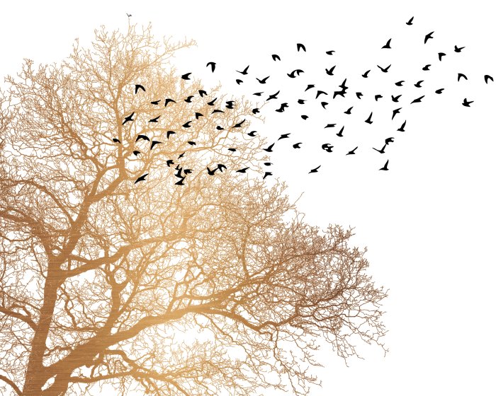 Papier peint  Silhouettes d’oiseaux et d’un arbre en style minimaliste