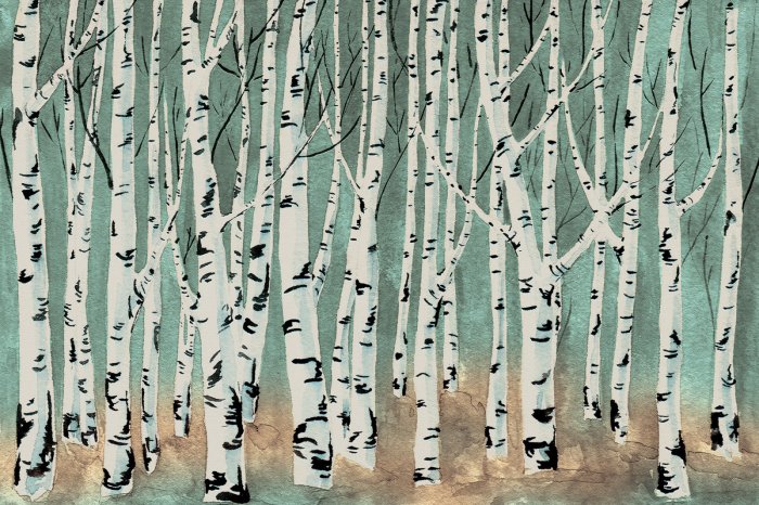 Papier peint  Bouleaux dans un paysage aquarelle