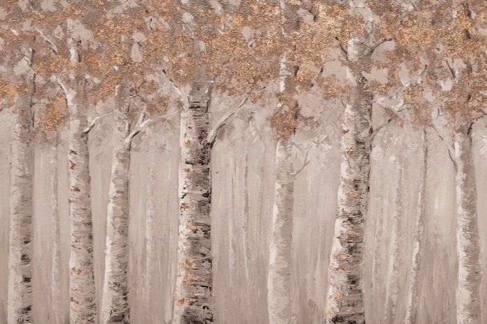 Papier peint  Forêt de bouleaux dans un paysage pittoresque