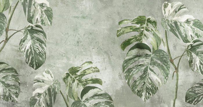 Papier peint  Monstéras sur fond texturé vert