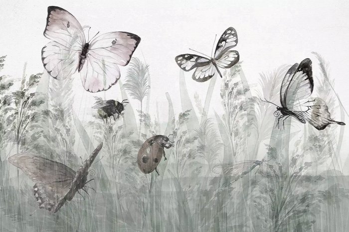 Papier peint  Papillons et une coccinelle dans une prairie d'été, paysage avec insectes et plantes