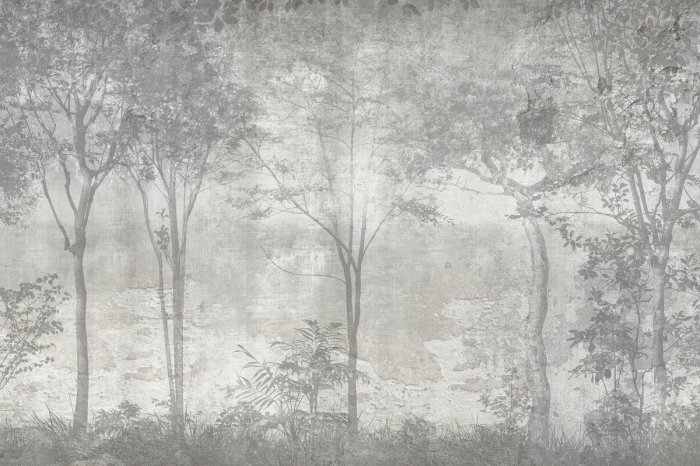 Papier peint  Forêt brumeuse, arbres gris, paysage naturel sur fond en béton