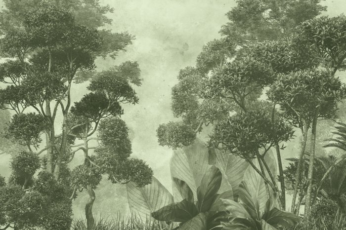 Papier peint  Forêt tropicale brumeuse en vert, paysage naturel exotique