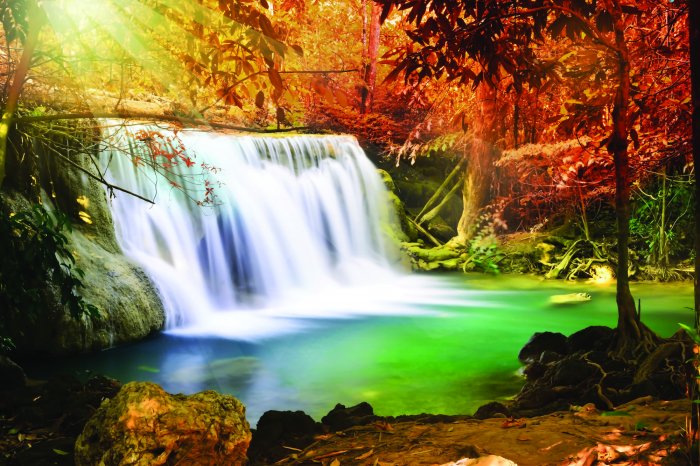 Papier peint  Lever du soleil dans une forêt automnale avec une cascade