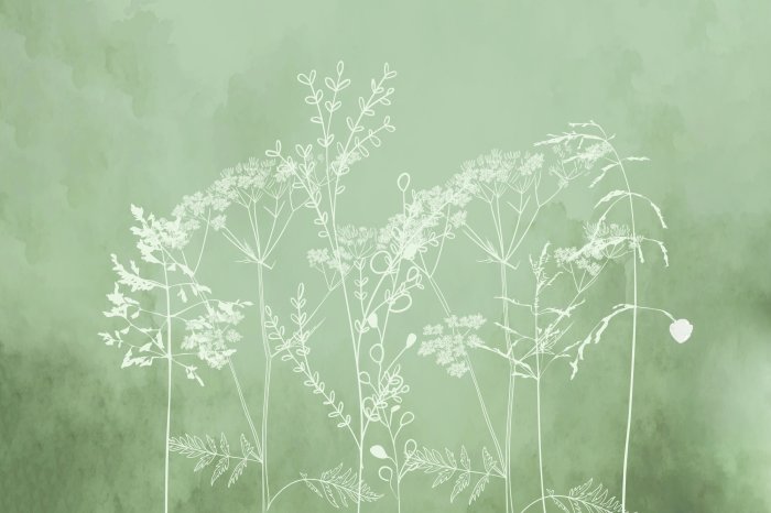 Papier peint  Herbes délicates sur fond gris