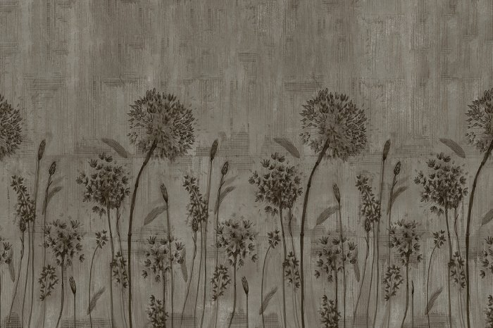 Papier peint  Pissenlits sur fond de béton gris