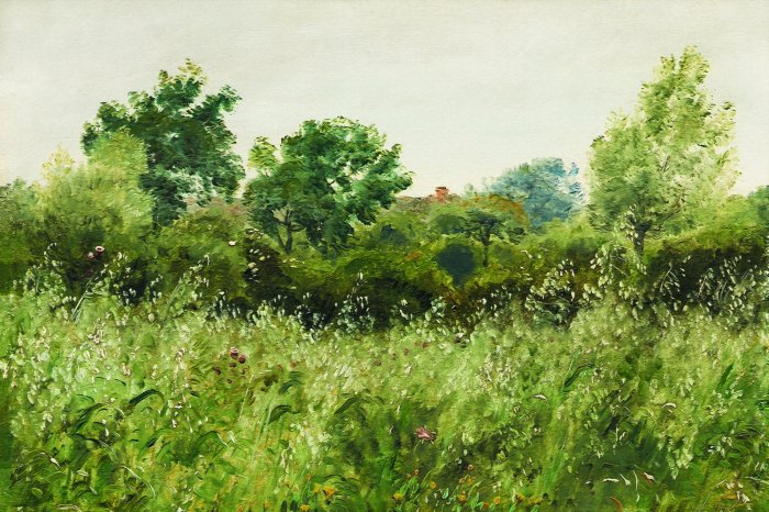 Papier peint  Motif forestier peint avec des arbres et des herbes