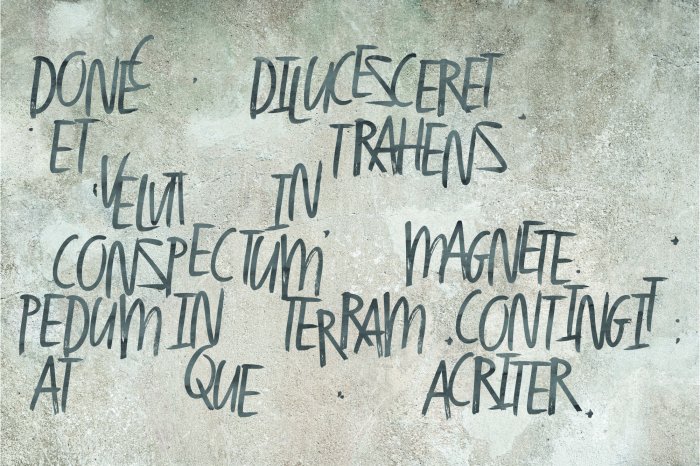 Papier peint  Textes anglais gris sur béton