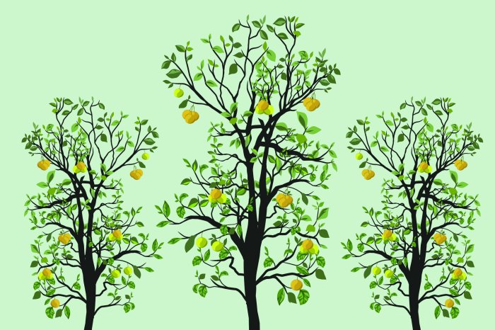 Papier peint  Arbres de citron avec des feuilles vertes