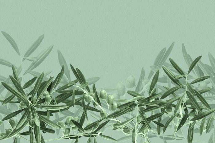 Papier peint  Branches d'olivier subtiles dans la verdure