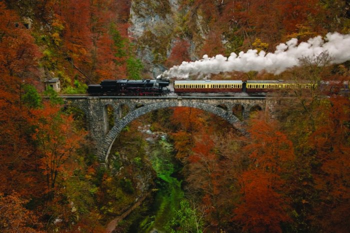 Papier peint  Train sur un pont dans une forêt d'automne