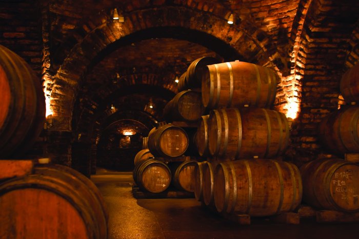 Papier peint  Cave sombre avec des tonneaux