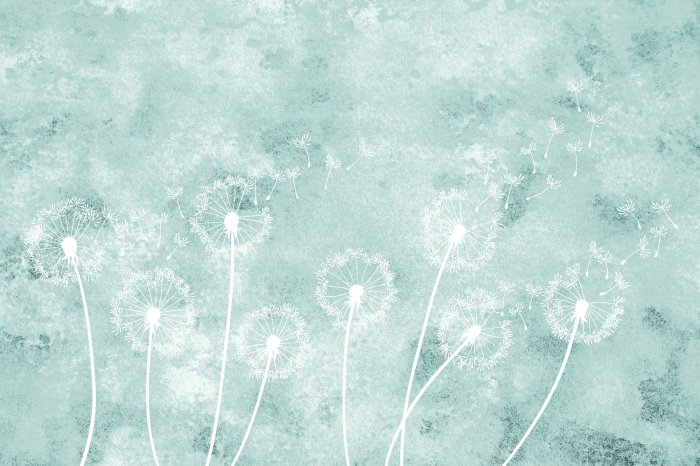 Papier peint  Pissenlits délicats sur fond bleu