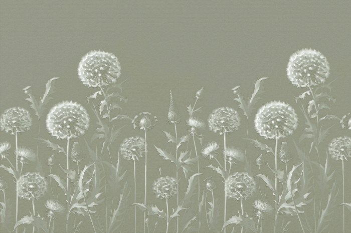 Papier peint  Pissenlits subtils dans la prairie