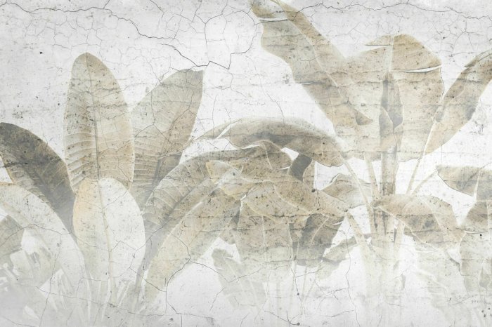 Papier peint  Feuilles de palmier sur un mur en béton