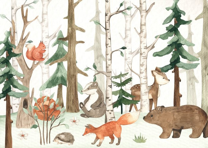 Papier peint  Paysage forestier pittoresque avec un ours