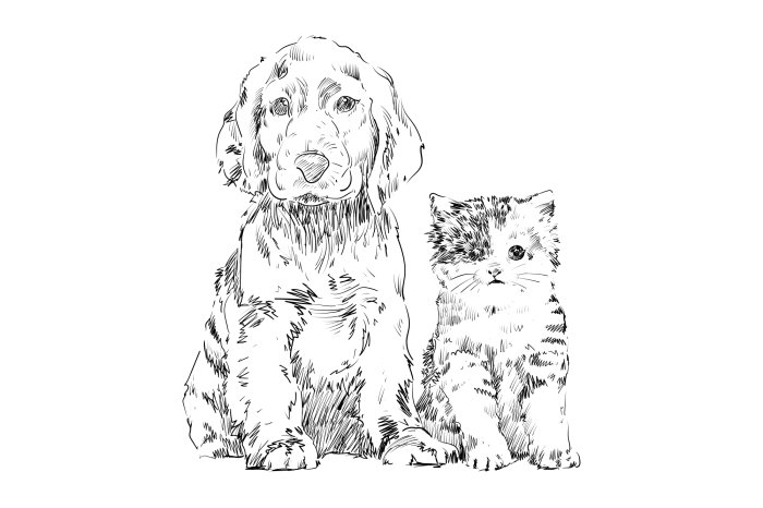 Papier peint  Dessin esquissé d’un chien et d’un chat