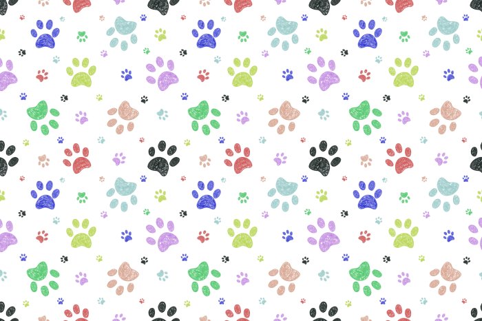 Papier peint  Pattes de chien colorées