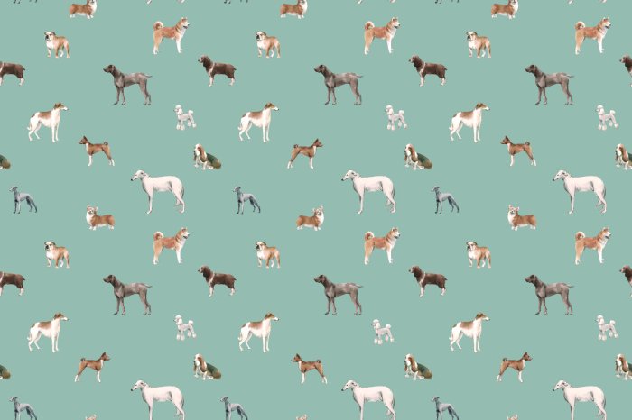 Papier peint  Chiens variés sur fond bleu